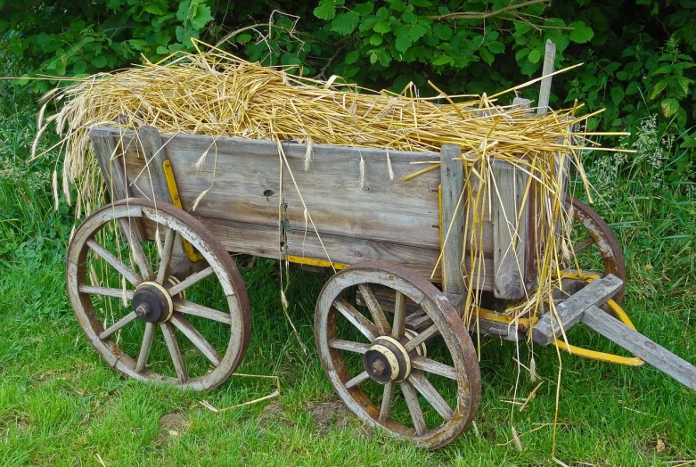a wagon filled with hay sitting on top of a lush green field, pixabay, folk art, showpiece, sukkot, gold, high res photo