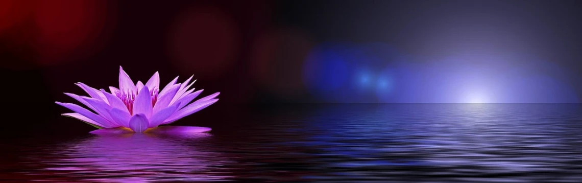 a purple flower floating on top of a body of water, digital art, pixabay, red and blue back light, background image, reflection, banner