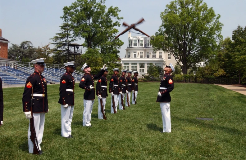 a group of military men standing on top of a lush green field, tumblr, arabesque, at the white house, marine, turbines, dressed in shako