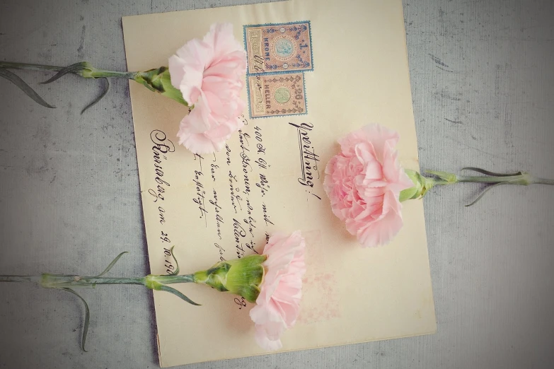 two pink carnations sitting on top of a piece of paper, by Maksimilijan Vanka, pixabay contest winner, mail art, old script, france, letterbox, retro vintage and romanticism