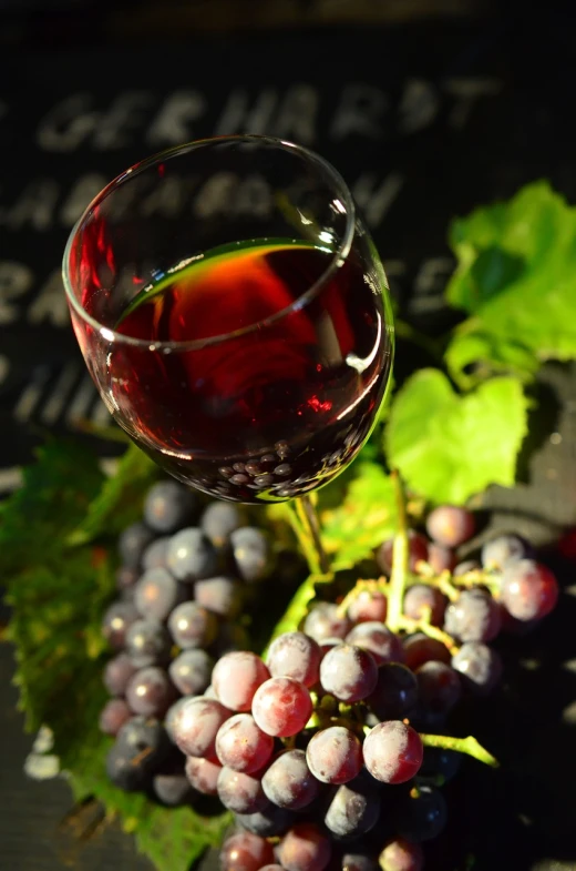 a glass of wine sitting next to a bunch of grapes, renaissance, rich vivid color, high quality product image”