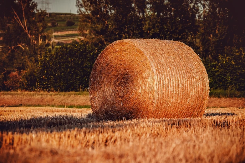 a hay bale in a field with trees in the background, a picture, shutterstock, renaissance, golden hour closeup photo, post processed 4k, high quality photos, landscape photo