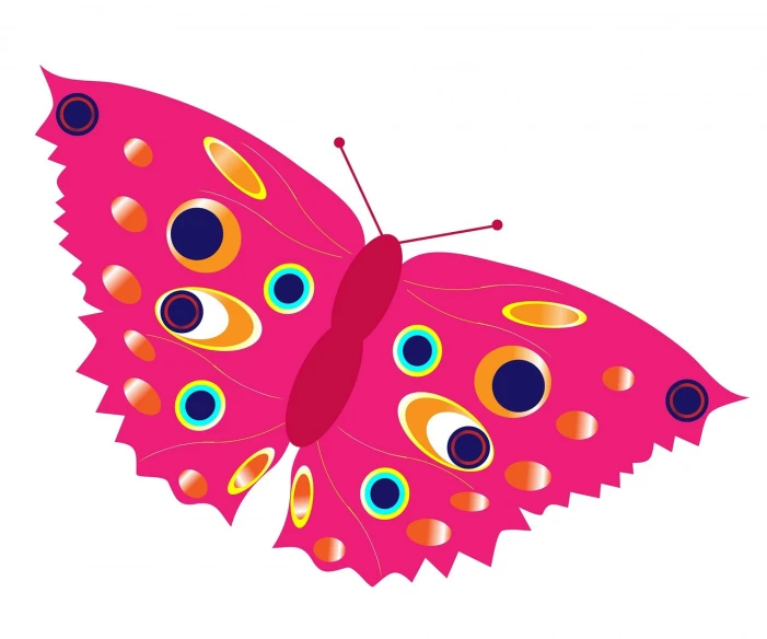 a close up of a butterfly on a white background, an illustration of, by Anna Haifisch, pixabay, hurufiyya, vibrant pink, color vector, full of colour 8-w 1024, photostock