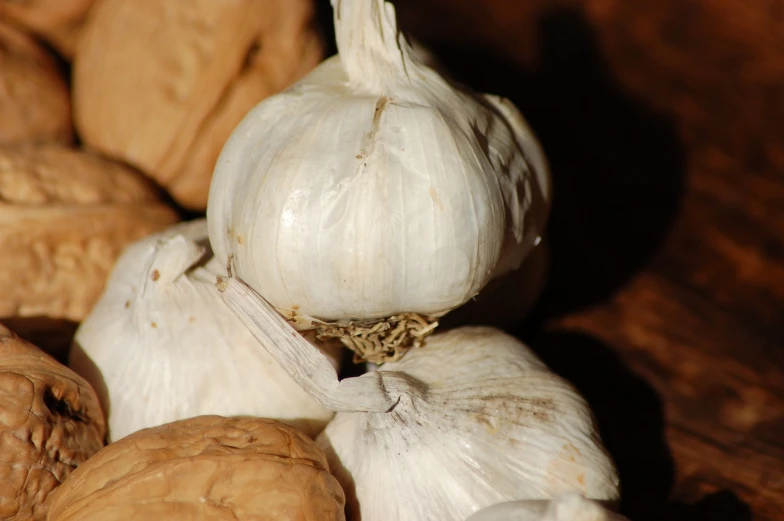 a bunch of garlic and walnuts on a table, a macro photograph, by Tom Carapic, pixabay, renaissance, albino dwarf, new mexico, white head, seen from the side