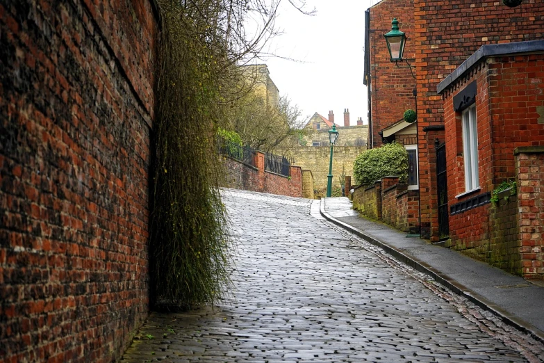 a person with an umbrella walking down a cobblestone street, inspired by L. S. Lowry, arts and crafts movement, shot on canon eos r 5, twisted ivy vines, built on a steep hill, brick