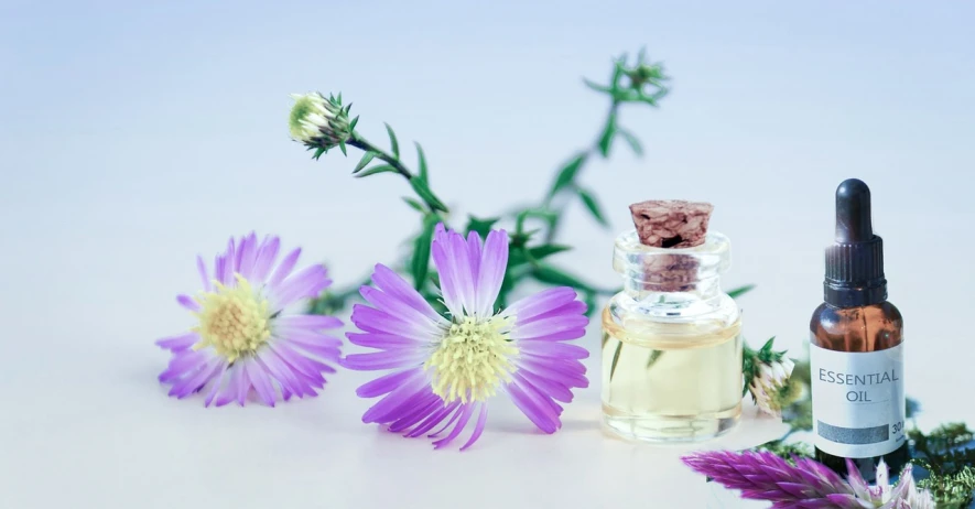 a bottle of essential oil next to a purple flower, a picture, by Rhea Carmi, romanticism, chamomile, thistles, skin care, pièce de résistance