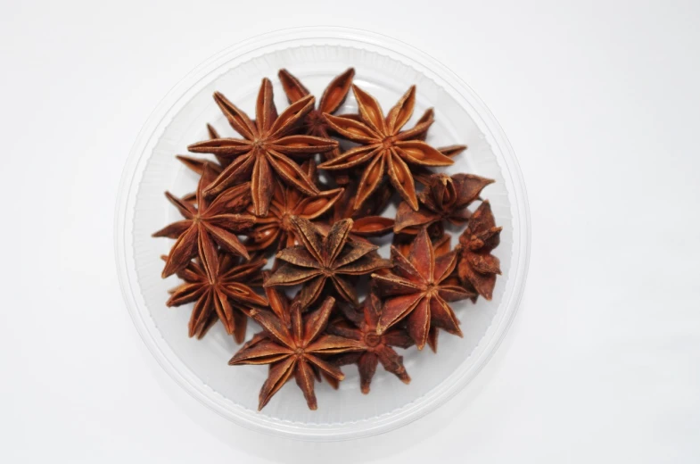 a bowl of star anise on a white surface, a picture, by Liao Chi-chun, hurufiyya, stars as pupils, product introduction photo, dried aquarium, high quality product photo