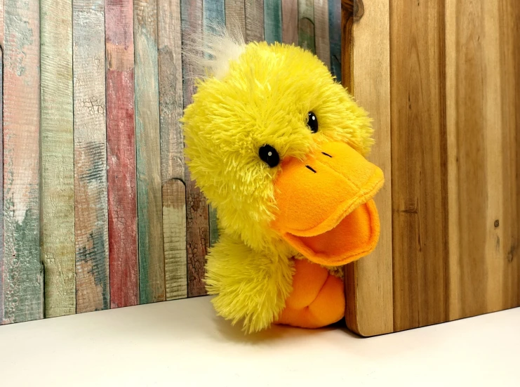 a yellow stuffed duck sitting next to a wooden door, inspired by Jacob Duck, high quality product image”, orange fluffy belly, handheld, with a gullet at the end