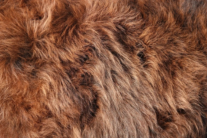 a close up of a furry animal's fur, by Bernardino Mei, shutterstock, art deco, three hairy neanderthal people, reddish - brown, felt!!! texture, using dead lion costume jacket