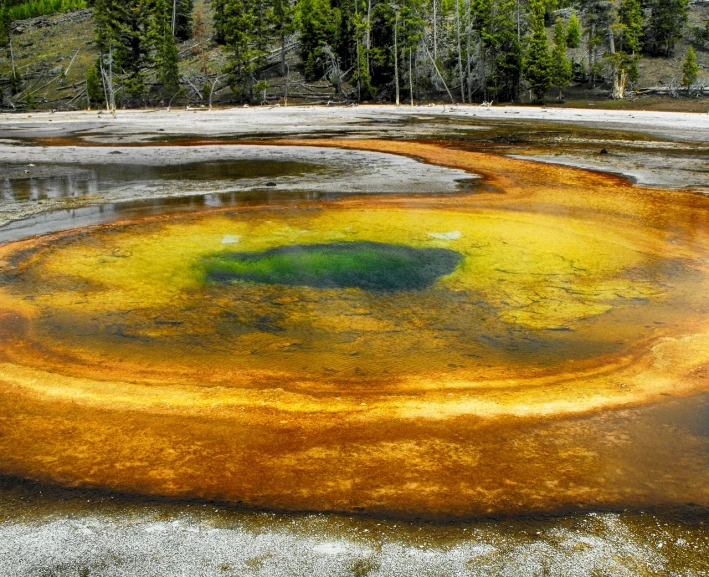 a hot spring in the middle of a forest, a photo, by Samuel Birmann, flickr, eyes are colorful spirals, grass spiral mountain landscape, dark yellowish water, usa-sep 20