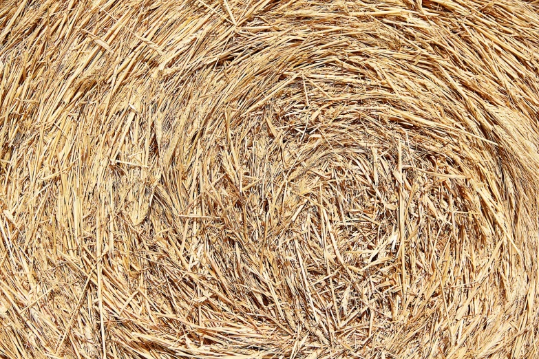 a close up of a bale of hay, inspired by David Ramsay Hay, detailed zoom photo, ground very detailed, gold striated swirling finish, bird's eye view