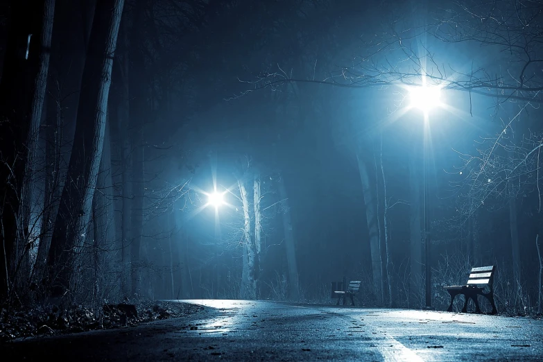 a bench sitting on the side of a road at night, a picture, shutterstock, cyan fog, streetlamps, scary dark forest, dramatic white and blue lighting