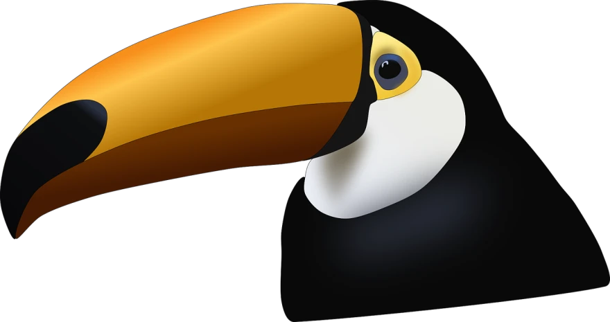 a close up of a toucan's face on a black background, vector art, pixabay, cobra, computer generated, slightly larger nose, toon, left profile