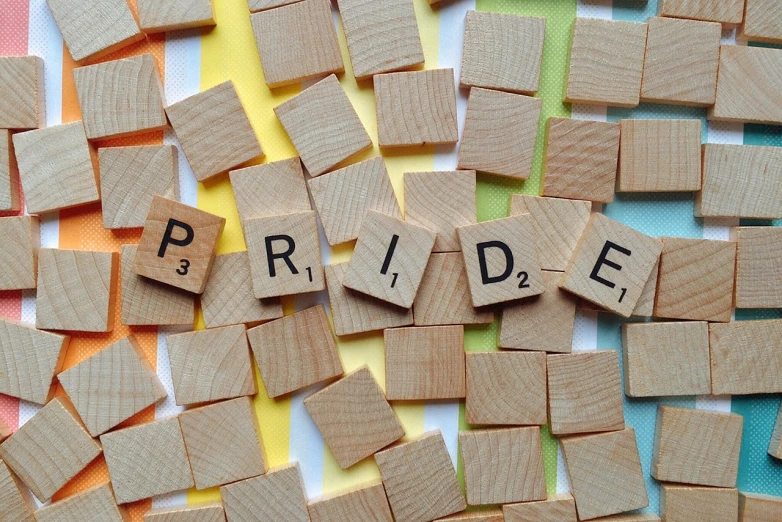 the word pride spelled in scrabbles on a colorful background, by Anna Findlay, trending on pixabay, white male, environmental shot, bravery, 💋 💄 👠 👗