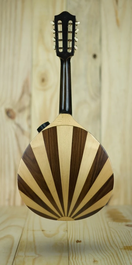 a guitar sitting on top of a wooden table, blade design, ivory and ebony, fans hals, woodturning