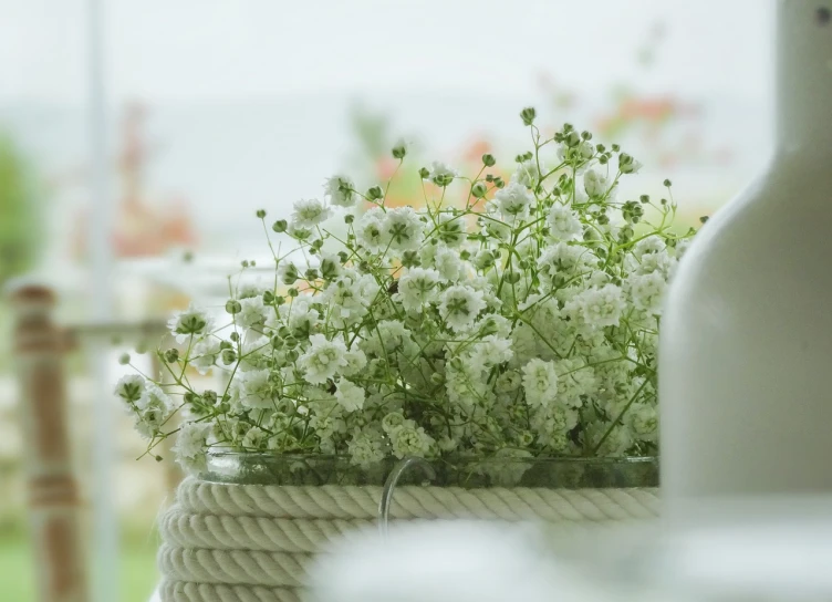 a vase filled with white flowers on top of a table, romanticism, boat, close - up photo, subject made of white mesh rope, gypsophila