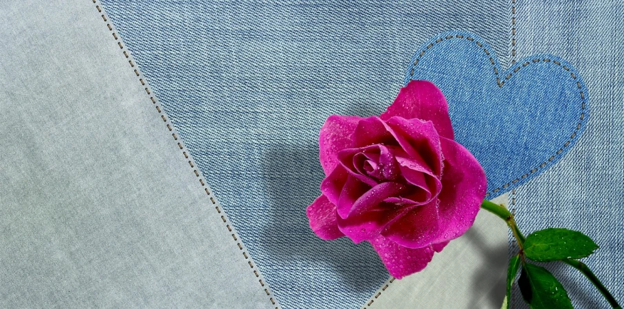 a pink rose sitting on top of a pair of jeans, inspired by Jean Hey, 8k fabric texture details, fabrics and textiles, cyan and magenta, closeup - view