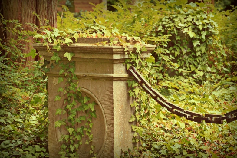 a fire hydrant sitting in the middle of a lush green forest, inspired by Charles H. Woodbury, flickr, tonalism, damaged vine bridge, wrought iron architecture, with ivy, cinestill 800t 50mm eastmancolor