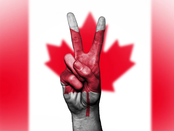 a person holding up a peace sign in front of a canadian flag, a photo, pixabay, symbolism, stock photo, red horns, number 31!!!!!, showing victory