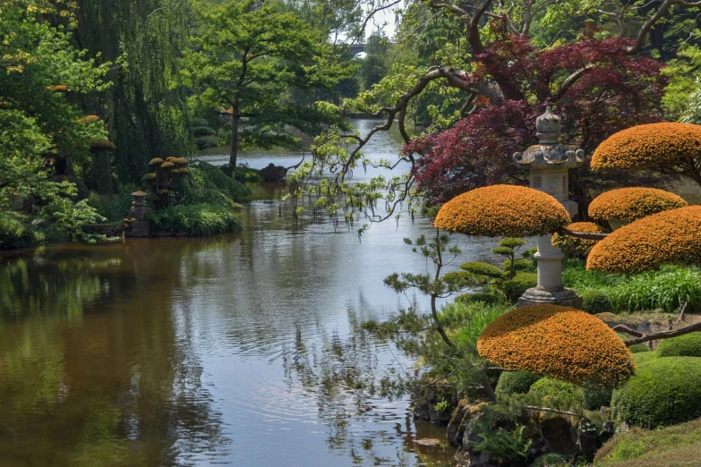 a river running through a lush green forest filled with trees, inspired by Itō Jakuchū, shutterstock, sōsaku hanga, with a french garden, japanese flower arrangements, very accurate photo, leading to a beautiful