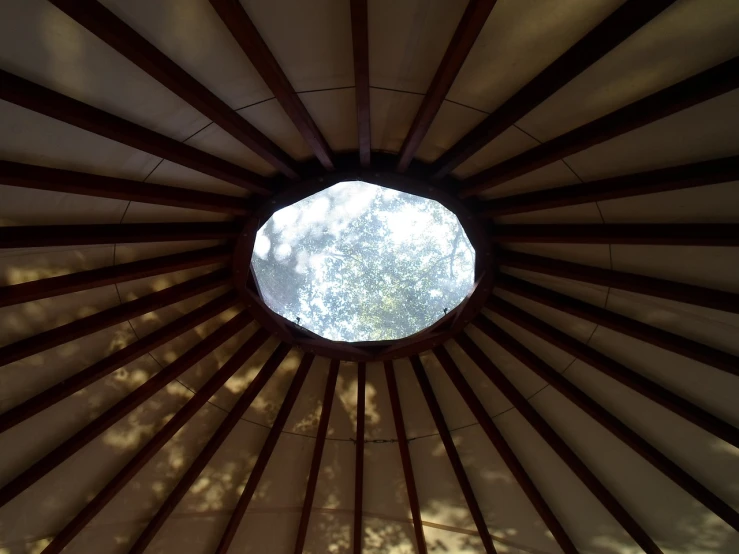 the inside of a wooden structure with a skylight, by Jan Rustem, large round window, with trees, close up shot from the top, tent