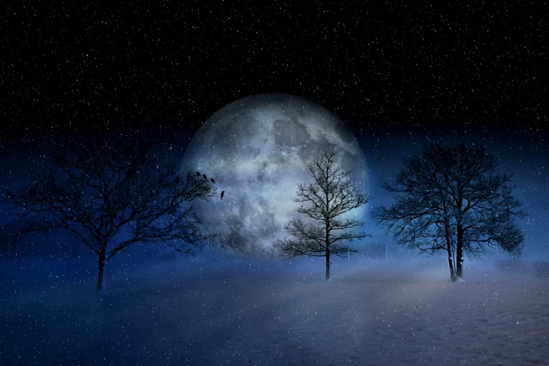a couple of trees that are standing in the snow, a photo, inspired by Igor Zenin, romanticism, full moon with stars, dark blue planet, background image, moon hitting earth