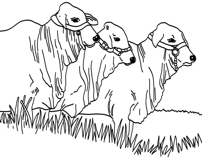 a couple of animals that are standing in the grass, lineart, sots art, three animals, laying on their back, hellhounds, at night