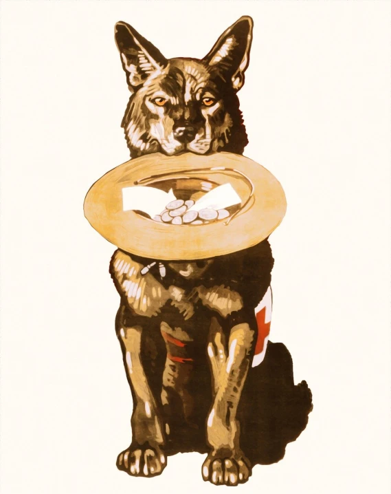 a drawing of a dog with a frisbee in its mouth, an illustration of, inspired by Joseph Beuys, tumblr, pop art, jc leyendecker, emergency, medical depiction, nico tanigawa