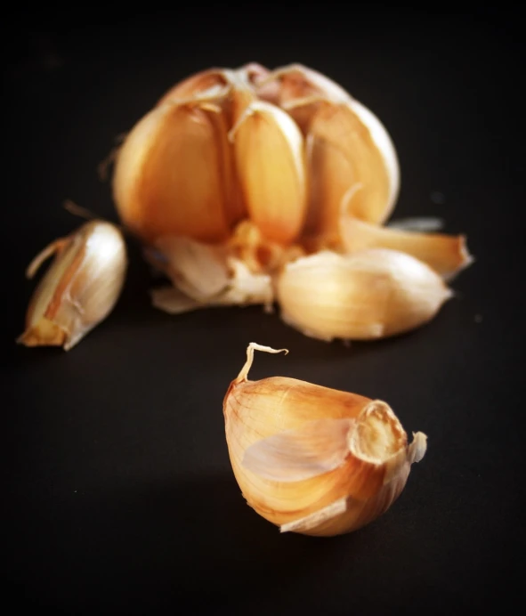 a bunch of garlic sitting on top of a table, a macro photograph, by Tom Carapic, low key, high detail product photo, cracked, miniature product photo