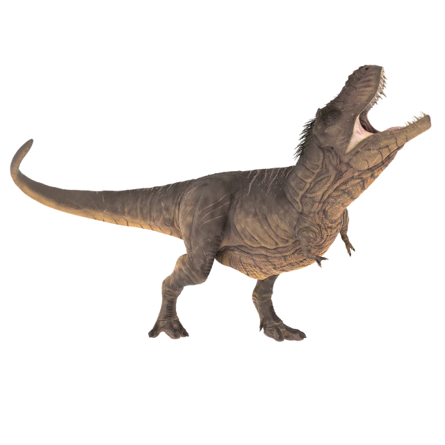 a close up of a dinosaur with its mouth open, an illustration of, shutterstock, figuration libre, full length shot, official product photo, ultra realistic”, t pose