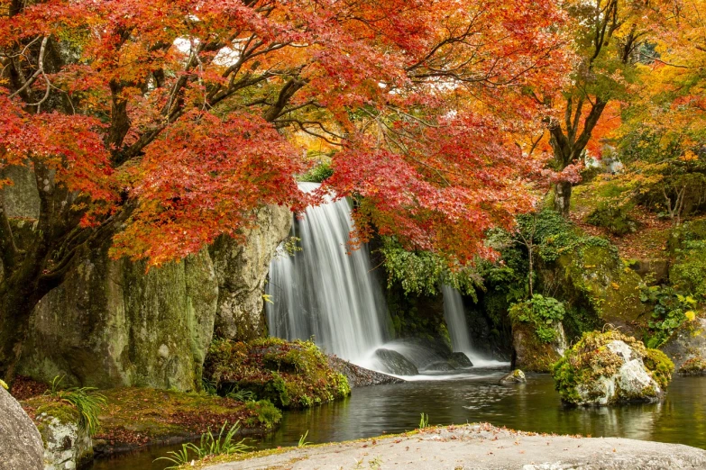 a waterfall flowing through a lush green forest, a picture, by Nōami, pexels, shin hanga, autumn maples, portrait!!, himeji rivendell garden of eden, ❤🔥🍄🌪