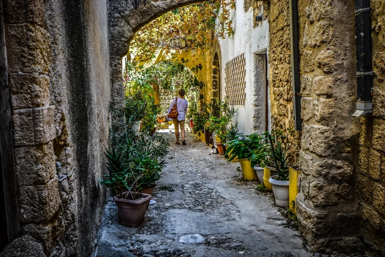 a narrow alley with potted plants on either side, a photo, a woman walking, mediterranean, sanctuary, photo taken from behind