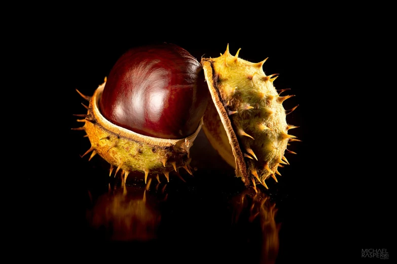 a close up of a fruit on a table, a macro photograph, by Jan Rustem, art photography, chestnut hair, highly detailed product photo, autumn season, on a black background