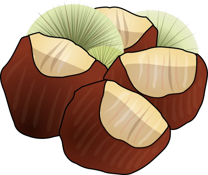 a bunch of nuts sitting on top of each other, a digital rendering, inspired by Masamitsu Ōta, pixabay, sōsaku hanga, snap traps of dionaea muscipula, full color illustration, coconuts, three fourths view