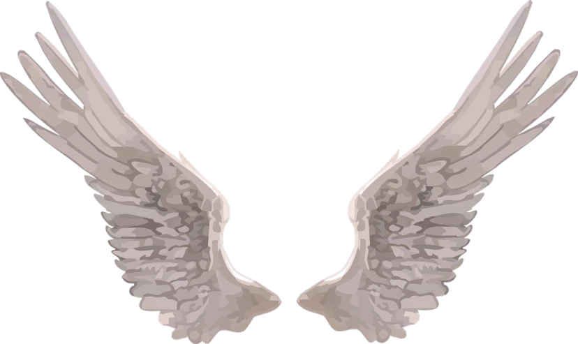 a pair of white wings on a black background, pixabay, digital art, background image, grayish, screen cap, shot from below