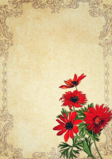 a bunch of red flowers sitting on top of a table, a digital rendering, baroque, textured parchment background, daisy, decorative border, japanese related with flowers