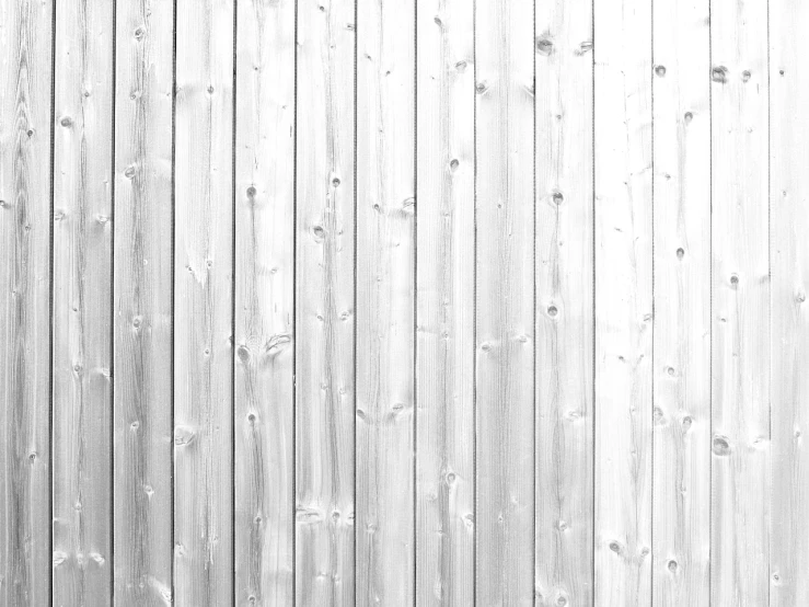 a black and white photo of a fire hydrant, by Karl Buesgen, minimalism, wood planks, wallpaper mobile, the background is white, cedar