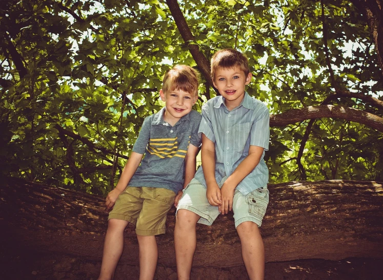 two young boys sitting on a tree branch, a picture, by Hristofor Zhefarovich, pexels, realism, istockphoto, shaded, family photo, posing for camera