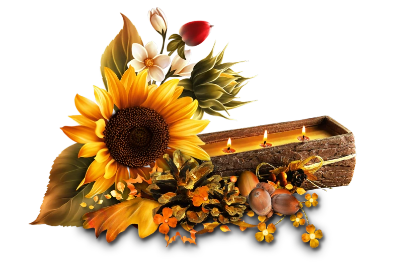 a wooden box filled with flowers and candles, digital art, sunflower, autum, on black background, beautiful graphics