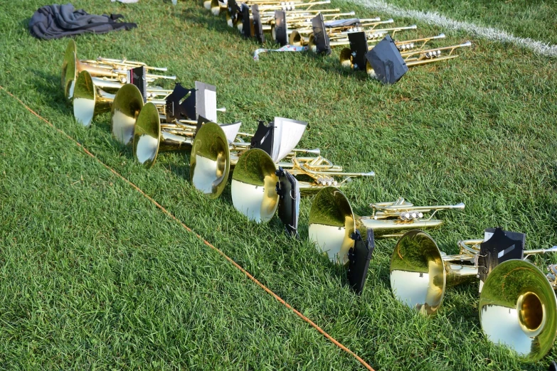 a group of brass instruments sitting on top of a lush green field, a tilt shift photo, brass equipment and computers, high school, side view close up of a gaunt, coneheads