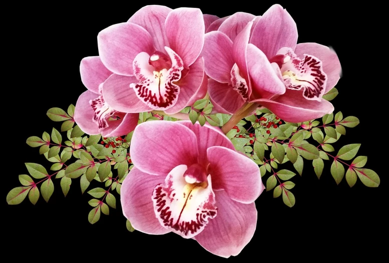 a bunch of pink flowers with green leaves, a digital rendering, by Susan Heidi, pixabay, orchids, beautiful composition 3 - d 4 k, photorealistic detailed picture, three fourths view