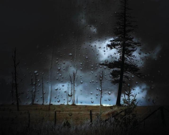 a bunch of trees that are standing in the rain, a picture, inspired by Chris Friel, pixabay, conceptual art, surreal tears from the moon, todd hido, glass rain, stormy landscape