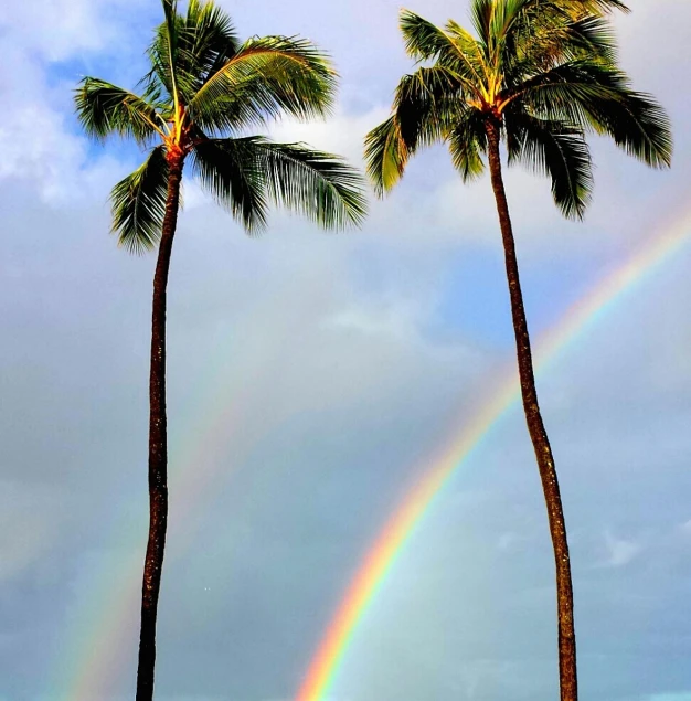 two palm trees with a rainbow in the background, a photo, by Tadashi Nakayama, heaven on earth, rainbow accents, tall arches, photo pinterest