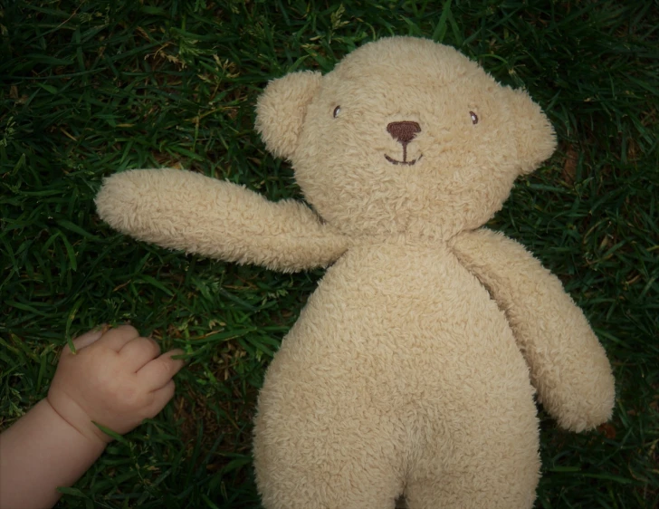 a teddy bear laying in the grass next to a baby's hand, inspired by Anne Geddes, hurufiyya, taken with sigma 2 0 mm f 1. 4, portrait 4 / 3, toy photo, unhappy