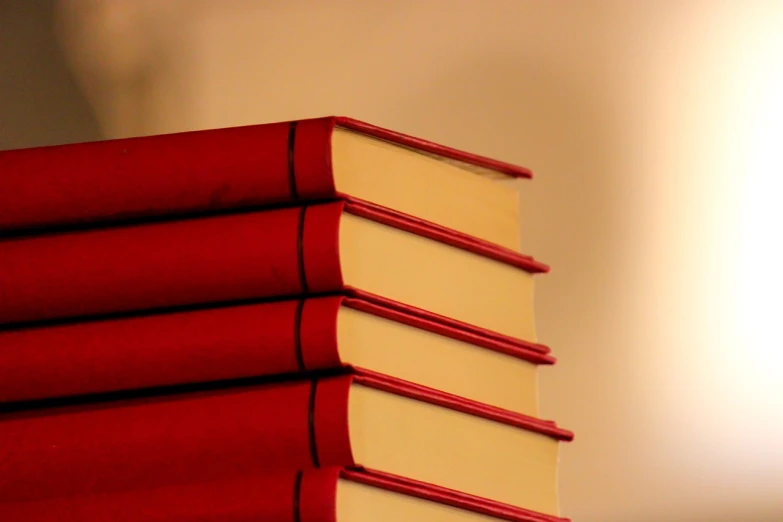 a stack of red books sitting on top of each other, by Thomas Häfner, telephoto shot, semi - realistic, seams, brightly-lit