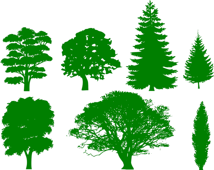 a collection of green trees on a black background, a raytraced image, inspired by Masamitsu Ōta, black backround. inkscape, thumbnail, screens, engraved