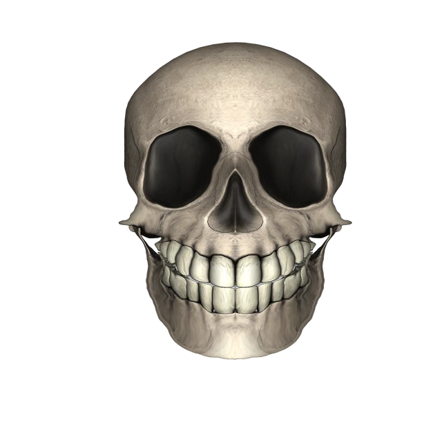 a close up of a skull on a black background, a digital rendering, smiley, computer generated, smooth shading, photo 3 d