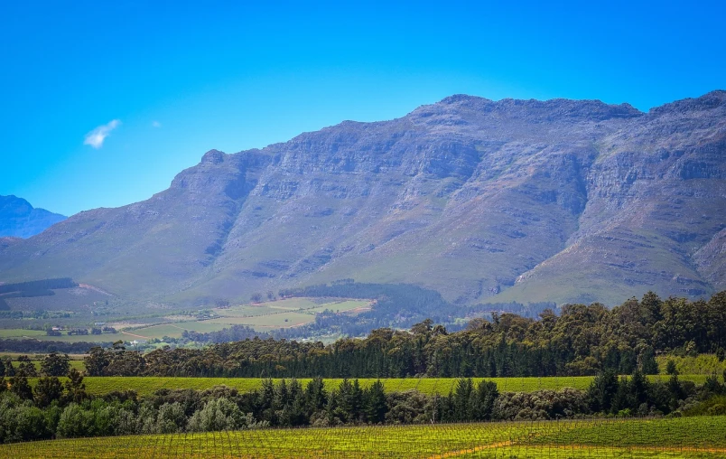 a green field with a mountain in the background, by Hubert van Ravesteyn, shutterstock, fine art, vine covered, rocky foreground, holiday season, telephoto long distance shot