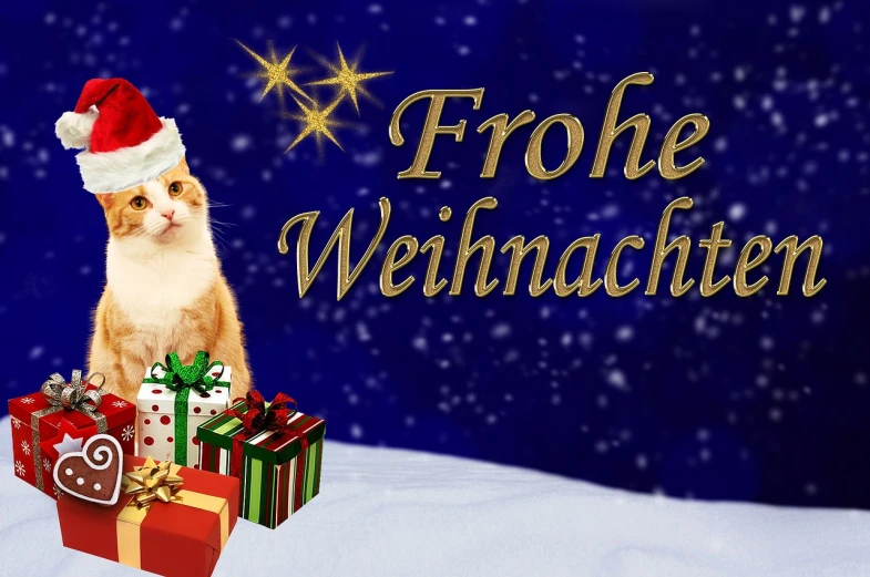 a cat sitting on top of a pile of presents, a photo, by Lorentz Frölich, shutterstock, cat theme banner, snowy winter christmas night, - h 1 0 2 4, german
