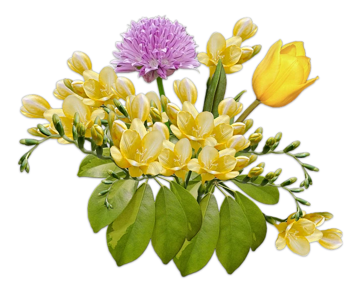 a bunch of yellow and purple flowers in a vase, a digital rendering, shutterstock, on black background, jasmine, clover, catalog photo